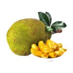 Jackfruit Products