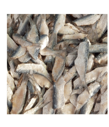 mathi dry sardine